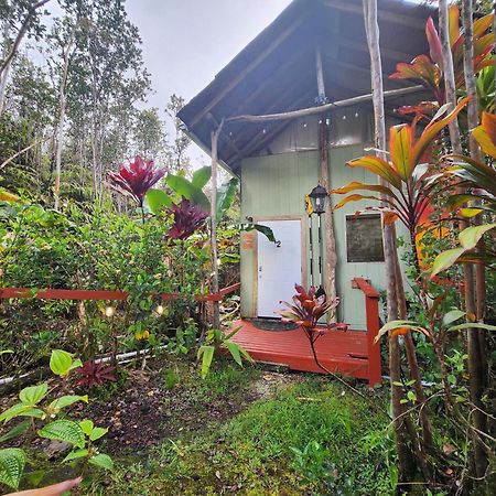 Cabin 2-Rustic Private Stay Near Volcano National Park Fern Forest Buitenkant foto